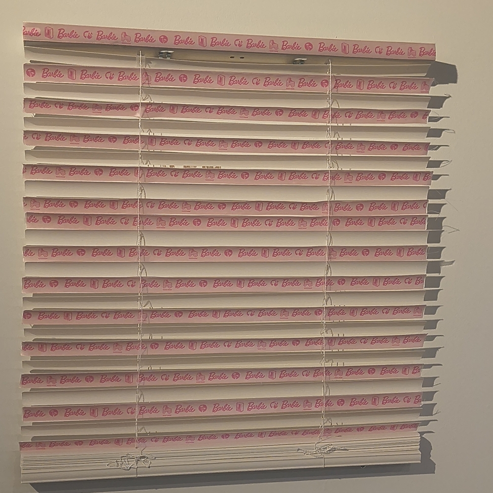 Pink Window Blinds Custom - Picture 4 of 6